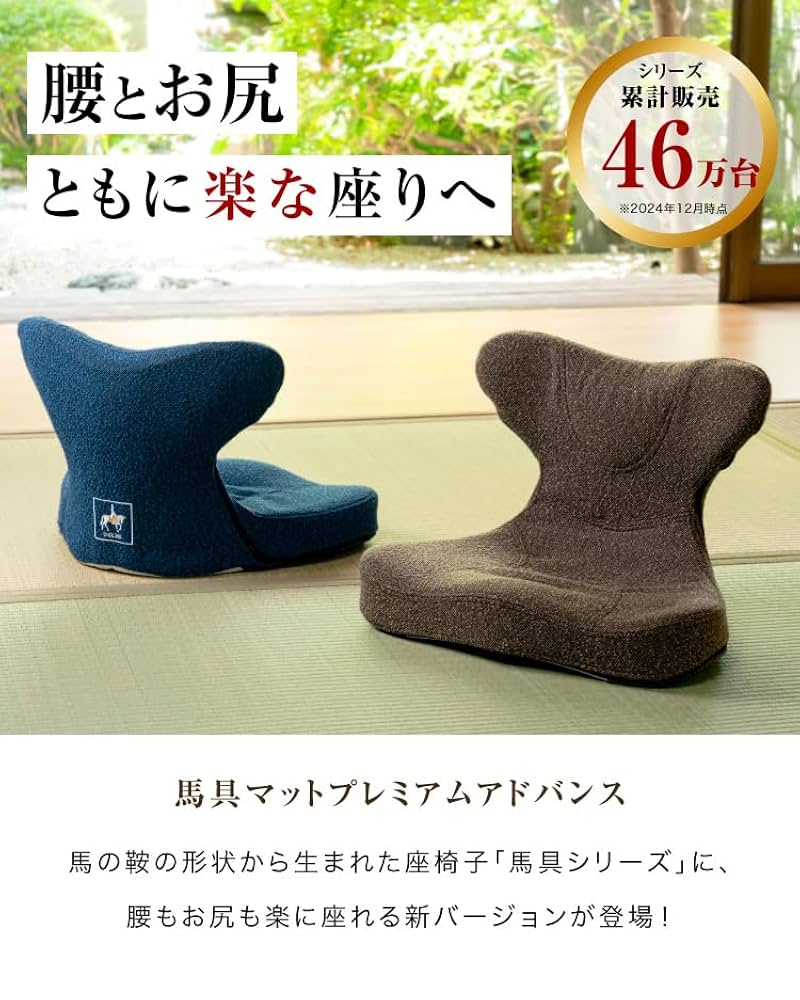 （プロイデア） 馬具マットプレミアム 　ブルー Amazon.co.jp: PROIDEA 馬具マットプレミアムアドバンス, 腰